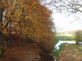 Ruhe und Natur - 2 Tage im Wald von Enschede