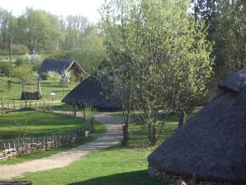 3 Tage Dömitzer Zeitreise inkl. Eintritt archäologisches Zentrum