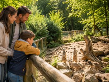 Tierisch gut im H24 – 3 Tage in Eberswalde