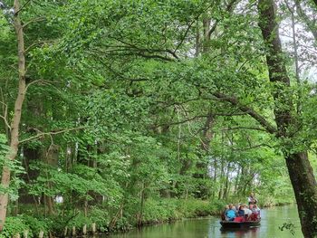 4 Tage - Radwandern im Spreewald