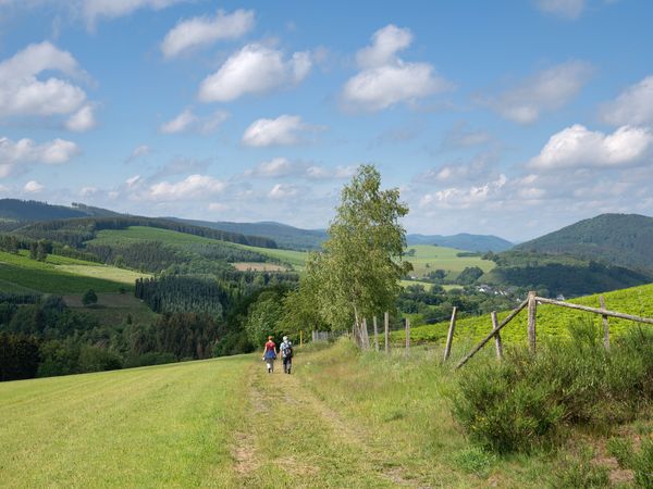 5 Tage Ruhe & Erholung im Sauerland – in Winterberg, Nordrhein-Westfalen inkl. Halbpension