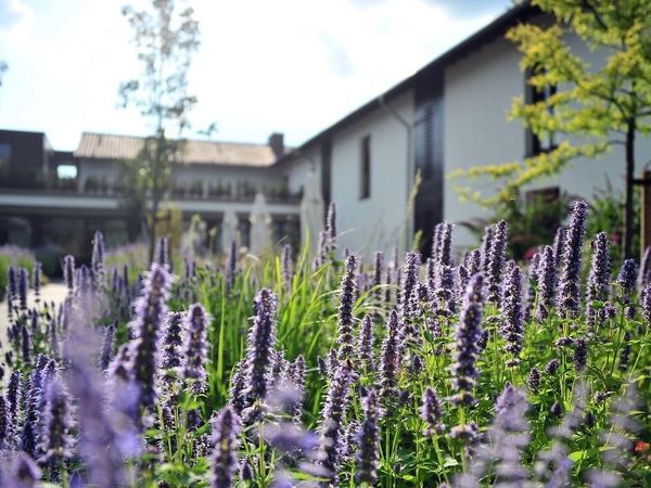 2 Tage Pure Entspannung am Niederrhein in Kalkar OT Kehrum, Nordrhein-Westfalen inkl. Halbpension