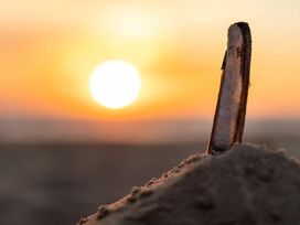 3 Tage Urlaub im schönsten Küstenort Nordhollands