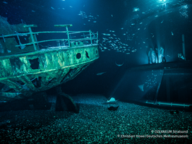 OZEANEUM Stralsund mit Ticket und Hotel