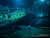 OZEANEUM Stralsund mit Ticket und Hotel