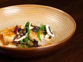 7 erlebnisreiche Tage in Zwolle