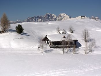 Bild 7 von 25