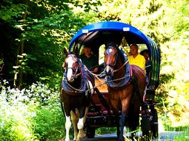 3 Tage Erholung in der Natur des Erzgebirges