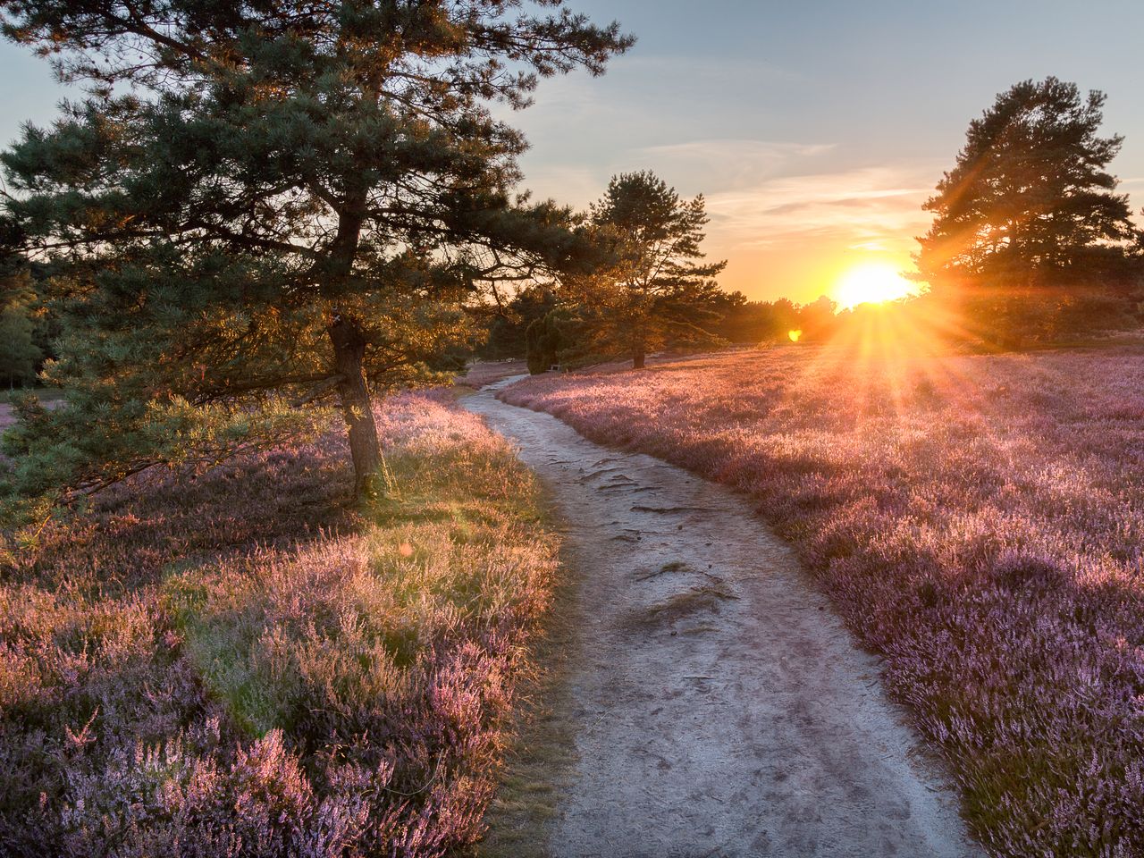 Lüneburger Heide erleben