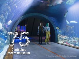 OZEANEUM Stralsund mit Ticket und Hotel