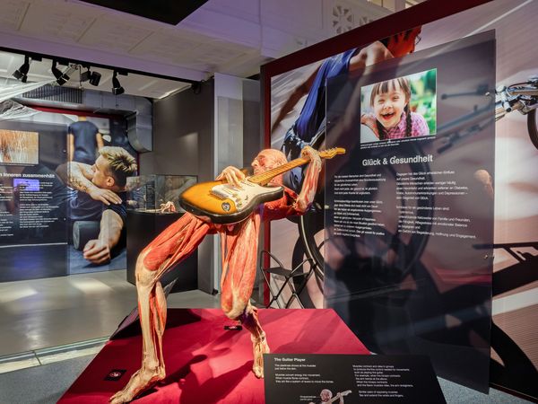 Entdecke die KÖRPERWELTEN in Heidelberg – 3 Tage in Walldorf Frühstück