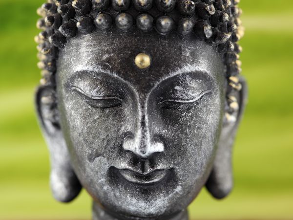 3 fürstliche Massage-Tage im Jagdschloss Letzlingen Halbpension