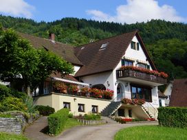 8 Tage Dreiländereck: Schwarzwald, Rhein & Vogesen