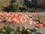 Tierpark und Tropen Aquarium Hagenbeck in Hamburg mit Hotel
