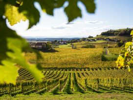 Dolce Vita - 6 Tage im Herzen der Toskana