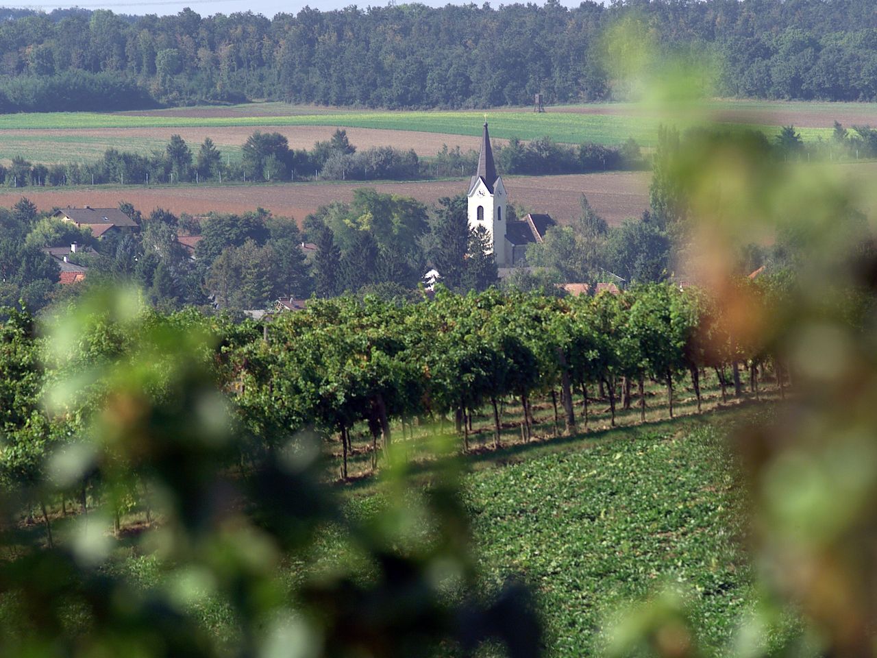 Urlaub an der Donau / 3 Tage mit Frühstück im Altes Kloster Hotel