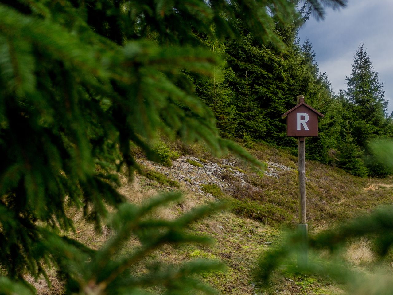 Romantische Tage im Thüringer Wald - 5 Tage