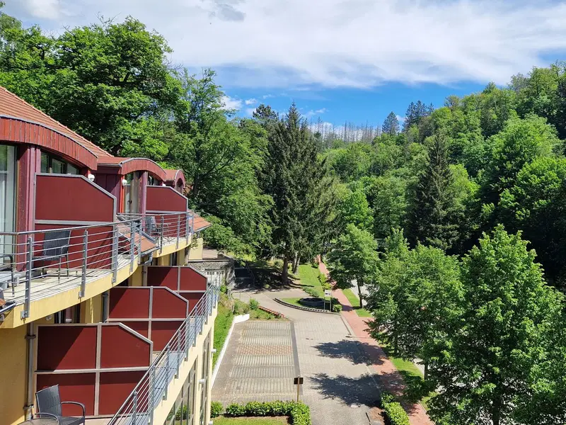 Harz'lich Willkommen - 4 Tage Auszeit im Habichtstein