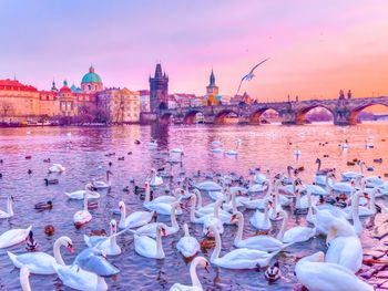 One Night Stand: 1 Nacht Romantic City Break in Prag