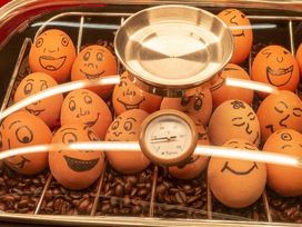 2 Tage maritimes Kiel 