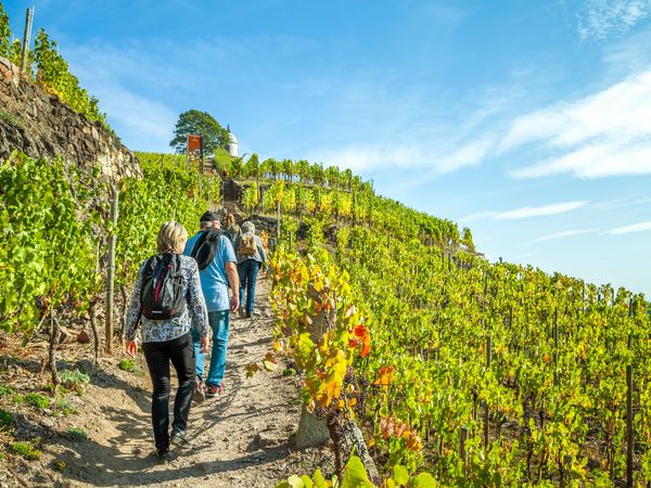 3 Tage – Mit Sack & Pack an die Mosel in Löf Frühstück