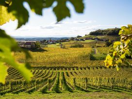 8 Tage Steiermark: Wellness, Massage & 6-Gang-Menü