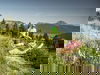 3 Tage Genuss in Tirol im Hotel & Wirtshaus Post