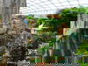 Tierisches Vergnügen: Zoo mit Gondwanaland - 3 Tage
