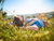 All Inclusive-3 Tage im Ferien Hotel / Thüringer Wald
