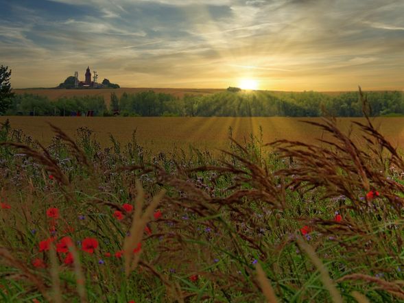 8 Tage Kühlungsborn entdecken