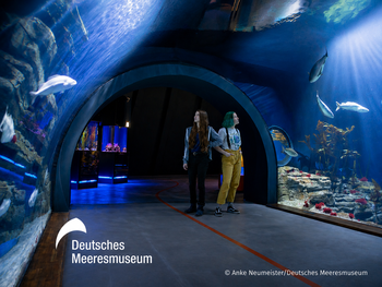OZEANEUM Stralsund mit Ticket und Hotel