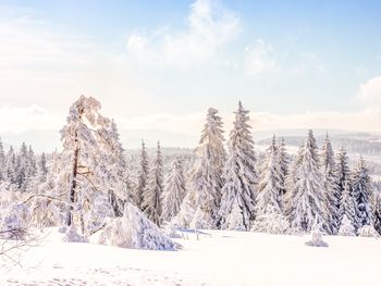 6 Tage Auszeit im wunderschönen Klosters-Serneus