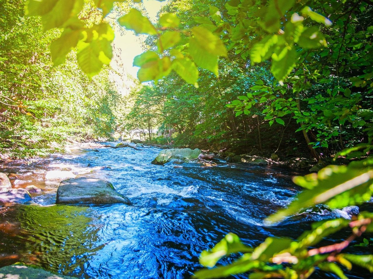 Harz'lich Willkommen - 4 Tage Auszeit im Habichtstein