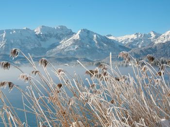 Bild 16 von 24