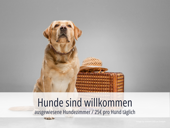 Bild 45 von 48