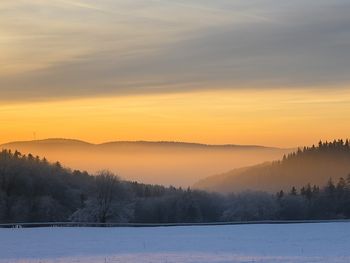 Bild 36 von 44