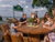 3 Tage am Müggelsee 3 Personen