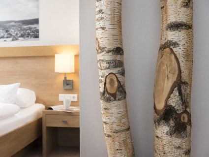Best Western Plus Hotel Willingen