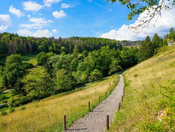 5 Tage Urlaub im Harz - inkl. Halbpension