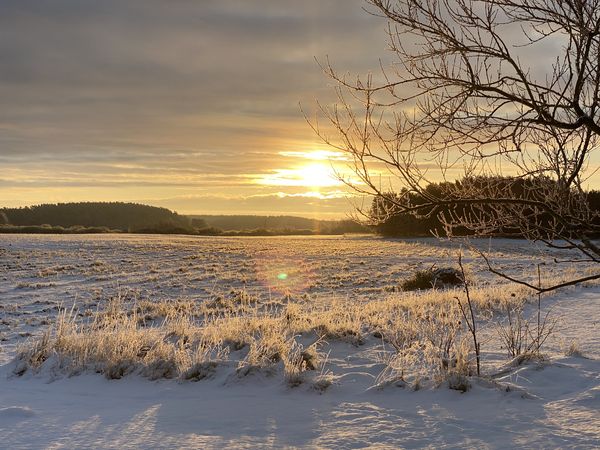 Wohlfühltage in der grauen Jahreszeit in Waren (Müritz) Frühstück