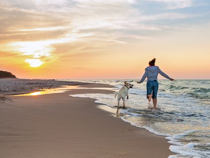 Kurztrip mit dem Hund an die Nordsee