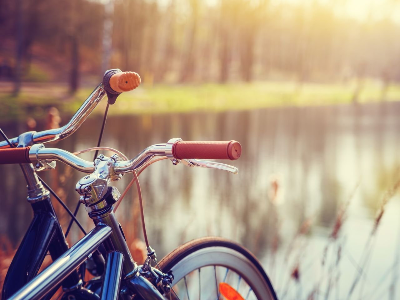 Aktivurlaub: Radfahren im Wienerwald, 4 Tage/3 Nächte