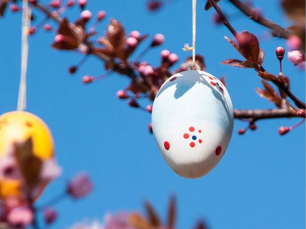 Erholsame Ostertage an der Kieler Förde | 3 Tage, Schleswig-Holstein inkl. Halbpension