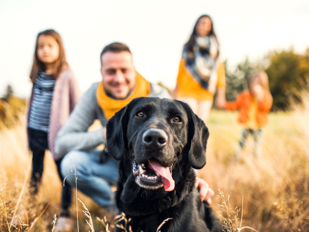 Mit dem Hund durch das Eichsfeld