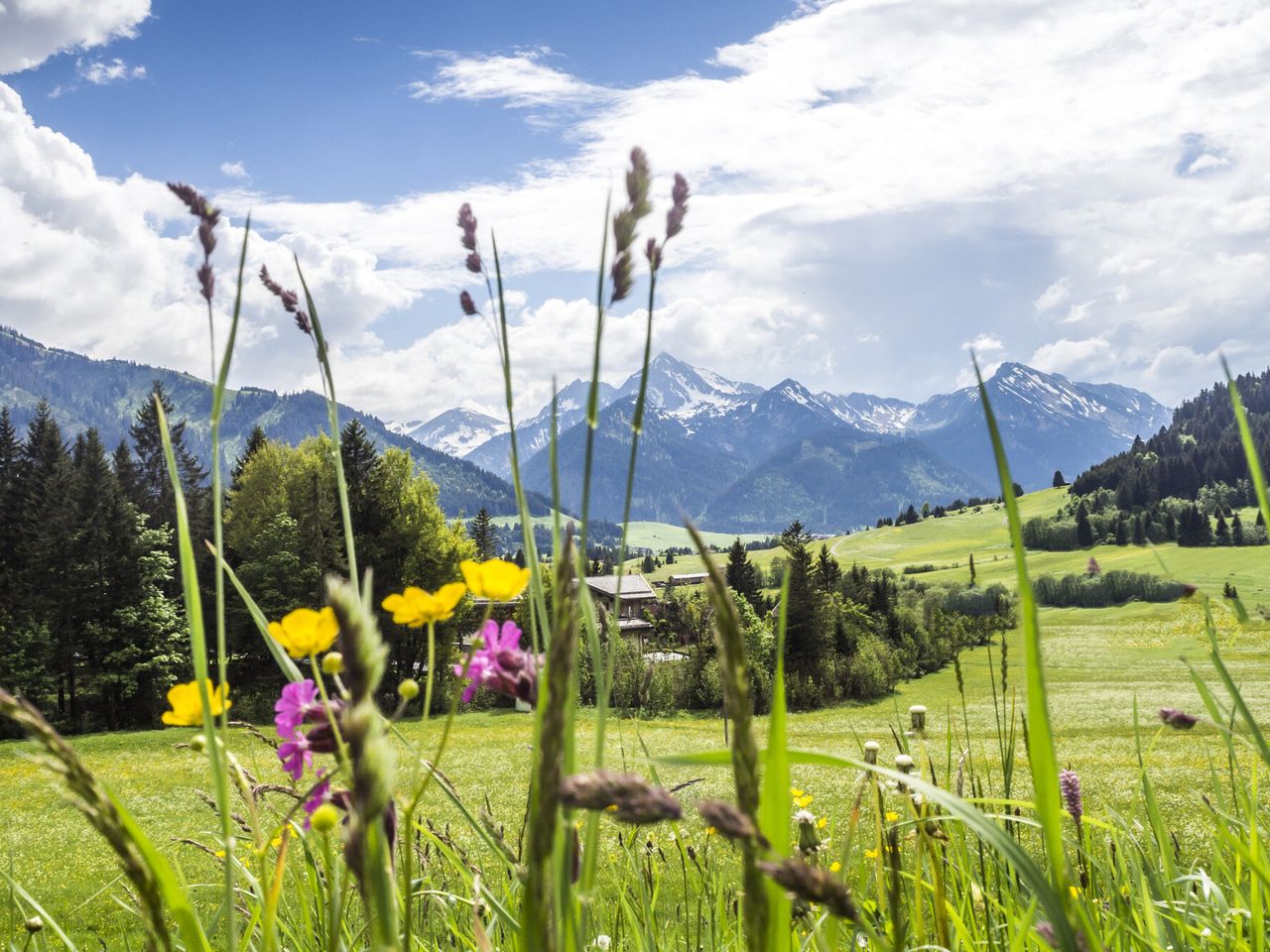 3 Tage Natur Pur - Waldbaden im Allgäu mit HP