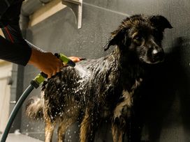 2 Tage Krafttanken im malerischen Fieberbrunn