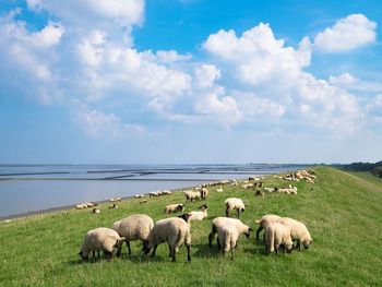 Genießertage an der Nordsee