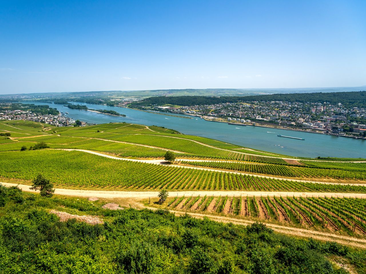 Rüdesheim vom Schiff erleben inkl. Weinprobe