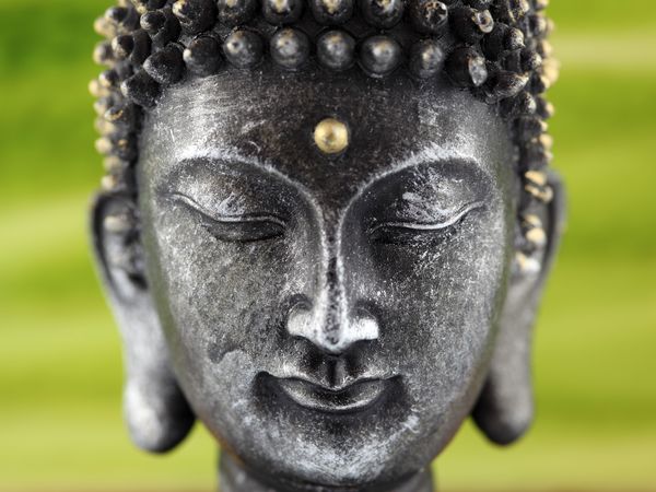 3 Tage Harzer MINI-Kur inkl. Massage, HP Plus u.v.m. in Ellrich Halbpension Plus