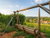 All Inclusive-4 Tage im Ferien Hotel / Thüringer Wald